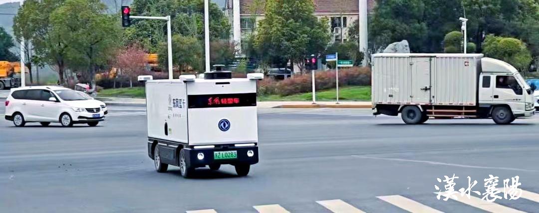 东楚网